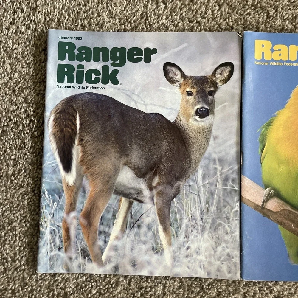 Ranger Rick's Nature Magazine 1992 National Wildlife Kids Vtg Lot Of‎ 9